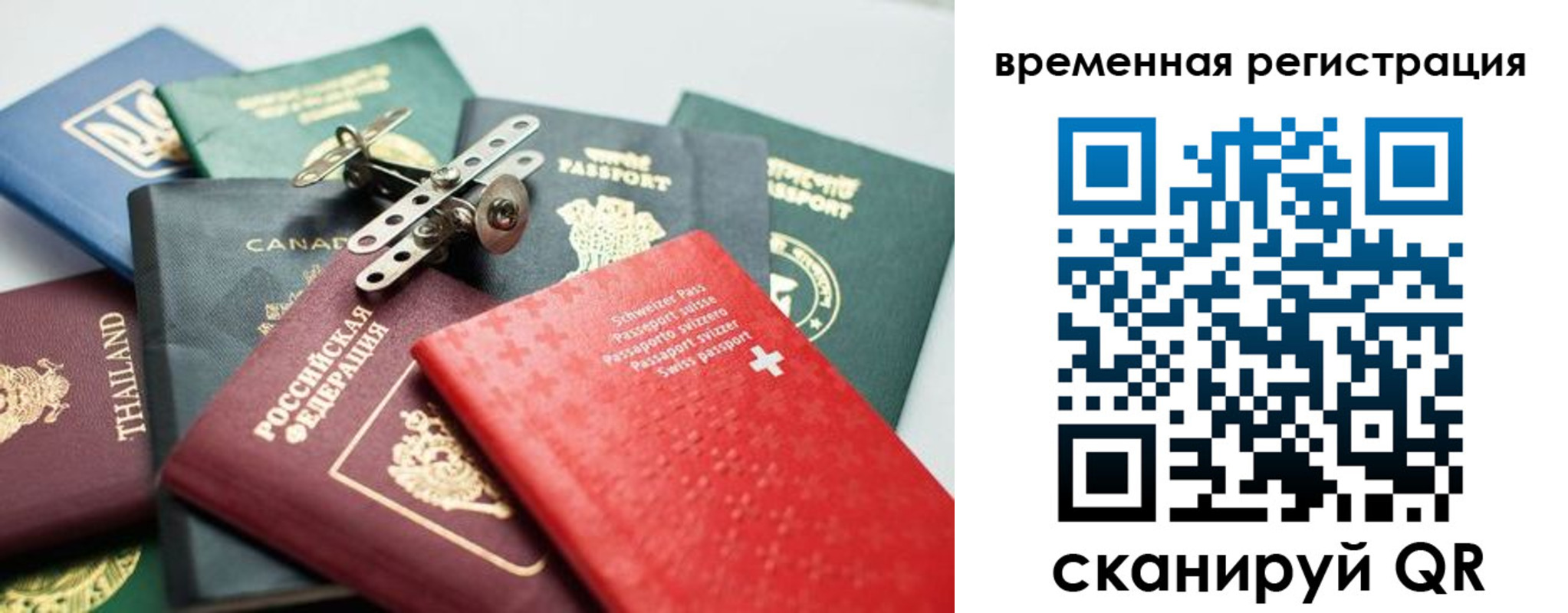 прописка ребенка в Светлогорске