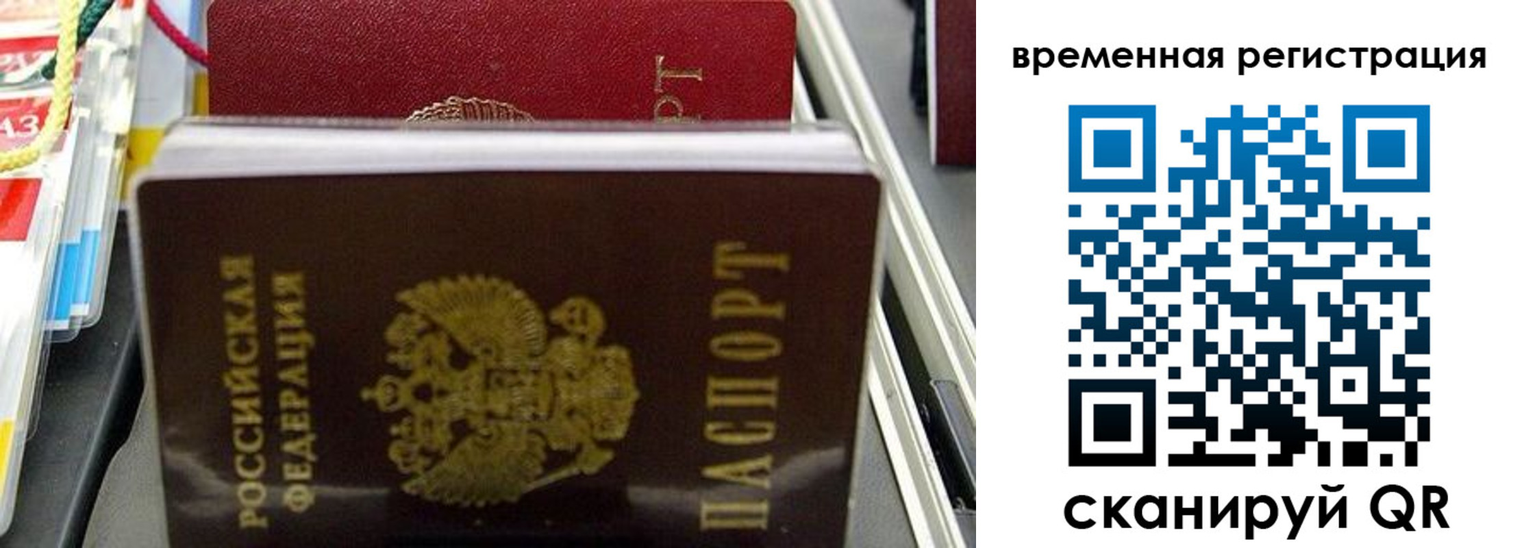 прописка законно в Светлогорске