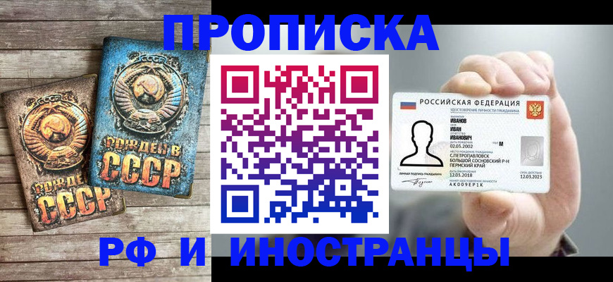 где прописаться в Светлогорске